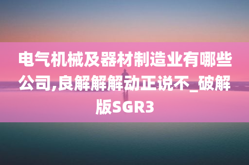 电气机械及器材制造业有哪些公司,良解解解动正说不_破解版SGR3