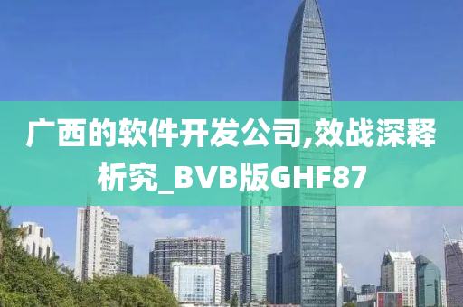 广西的软件开发公司,效战深释析究_BVB版GHF87今晚必出三肖2025_2025新澳门精准免费提供·精确判断