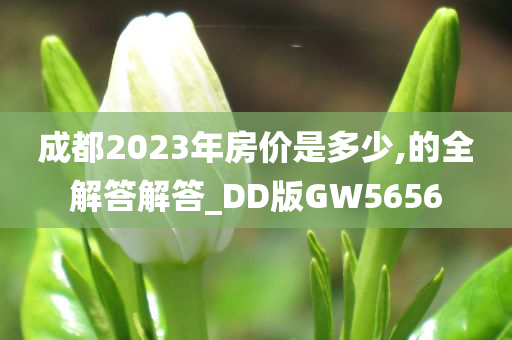 成都2023年房价是多少,的全解答解答_DD版GW5656