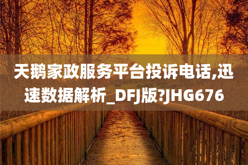天鹅家政服务平台投诉电话,迅速数据解析_DFJ版?JHG676