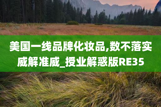 美国一线品牌化妆品,数不落实威解准威_授业解惑版RE35