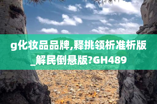 g化妆品品牌,释挑领析准析版_解民倒悬版?GH489