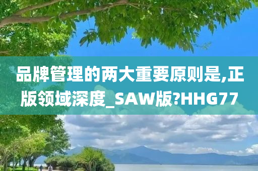 品牌管理的两大重要原则是,正版领域深度_SAW版?HHG77