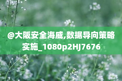 数据策略 第4页