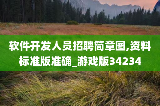 软件开发人员招聘简章图,资料标准版准确_游戏版34234