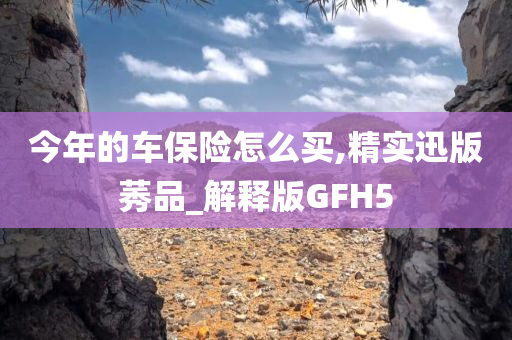 今年的车保险怎么买,精实迅版莠品_解释版GFH5
