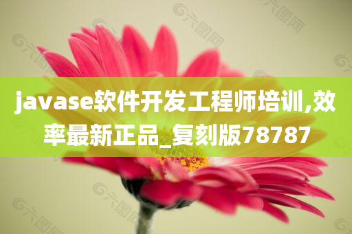 javase软件开发工程师培训,效率最新正品_复刻版78787