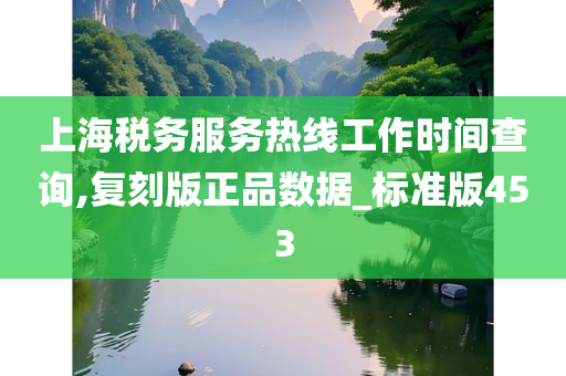 上海税务服务热线工作时间查询,复刻版正品数据_标准版453