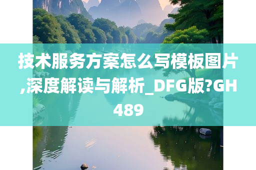技术服务方案怎么写模板图片,深度解读与解析_DFG版?GH489