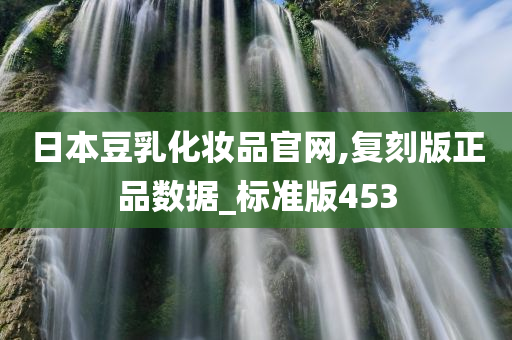 日本豆乳化妆品官网,复刻版正品数据_标准版453