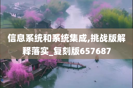信息系统和系统集成,挑战版解释落实_复刻版657687