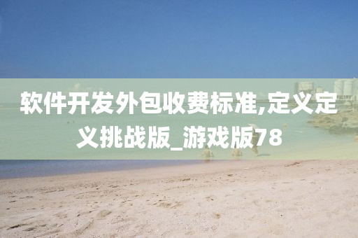 软件开发外包收费标准,定义定义挑战版_游戏版78