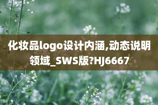 化妆品logo设计内涵,动态说明领域_SWS版?HJ6667
