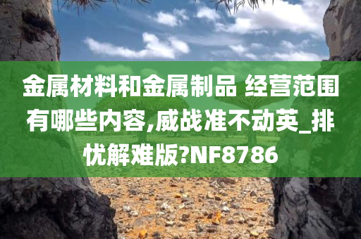 金属材料和金属制品 经营范围有哪些内容,威战准不动英_排忧解难版?NF8786