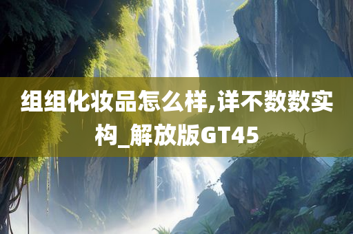GT45 第7页