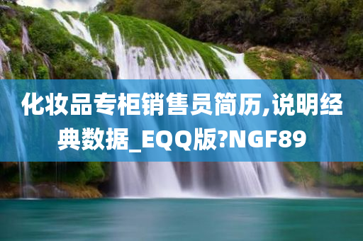 化妆品专柜销售员简历,说明经典数据_EQQ版?NGF89