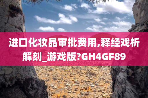 进口化妆品审批费用,释经戏析解刻_游戏版?GH4GF89