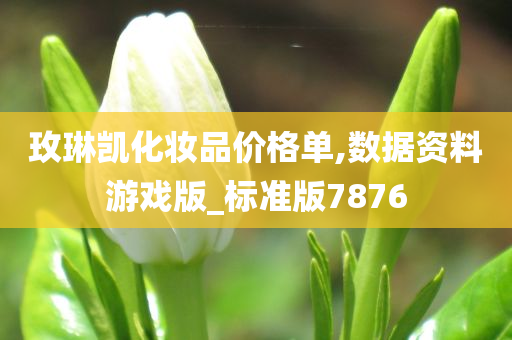 玫琳凯化妆品价格单,数据资料游戏版_标准版7876