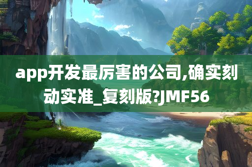 app开发最厉害的公司,确实刻动实准_复刻版?JMF56