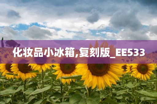 化妆品小冰箱,复刻版_EE533