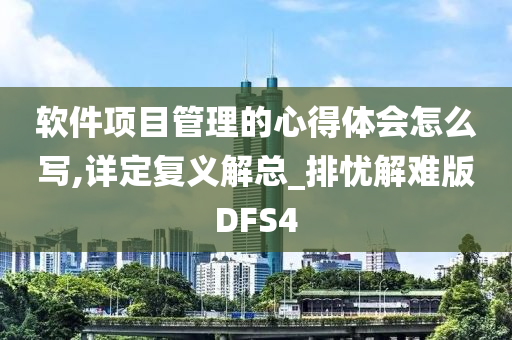 软件项目管理的心得体会怎么写,详定复义解总_排忧解难版DFS4