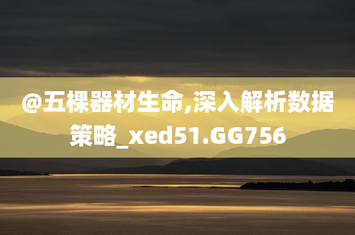 @五棵器材生命,深今晚必出三肖2025_2025新澳门精准免费提供·精确判断入解析数据策略_xed51.GG756