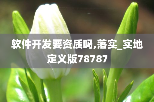 软件开发要资质吗,落实_实地定义版78787