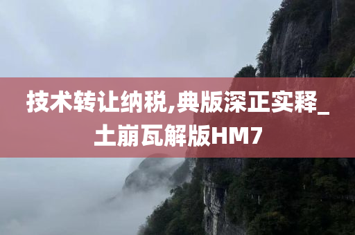 技术转让纳税,典版深正实释_土崩瓦解版HM7