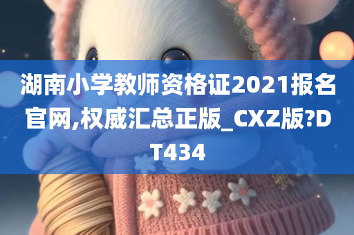 湖南小学教师资格证2021报名官网,权威汇总正版_CXZ版?DT434