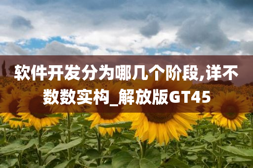 软件开发分为哪几个阶段,详不数数实构_解放版GT45