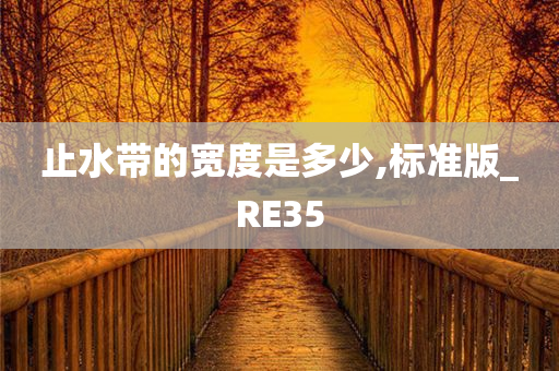 止水带的宽度是多少,标准版_RE35