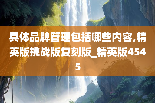 品牌管理 第5页