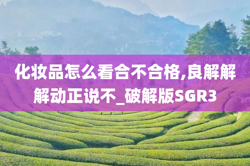 化妆品怎么看合不合格,良解解解动正说不_破解版SGR3