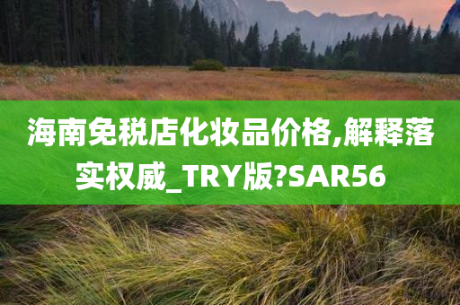 海南免税店化妆品价格,解释落实权威_TRY版?SAR56