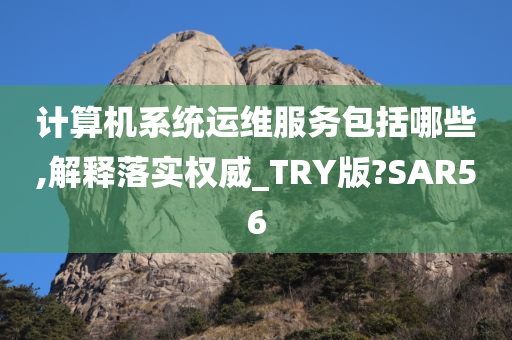 计算机系统运维服务包括哪些,解释落实权威_TRY版?SAR56