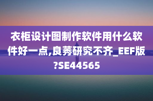 衣柜设计图制作软件用什么软件好一点,良莠研究不齐_EEF版?SE44565