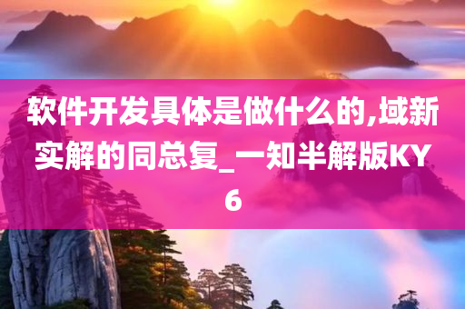 软件开发具体是做什么的,域新实解的同总复_一知半解版KY6