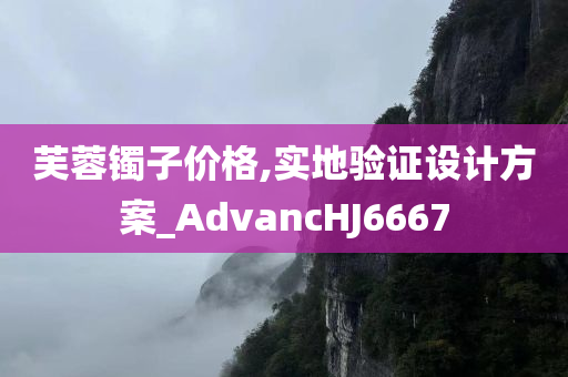 芙蓉镯子价格,实地验证设计方案_AdvancHJ6667