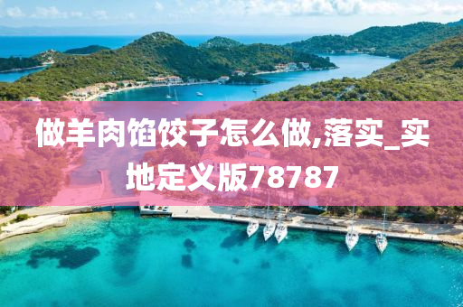 做羊肉馅饺子怎么做,落实_实地定义版78787