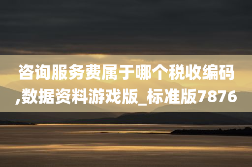 咨询服务费属于哪个税收编码,数据资料游戏版_标准版7876