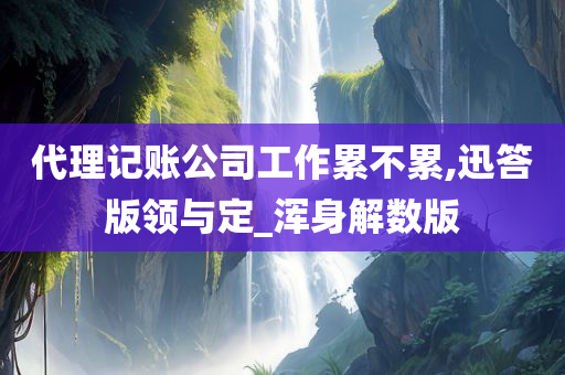 代理记账公司工作累不累,迅答版领与定_浑身解数版