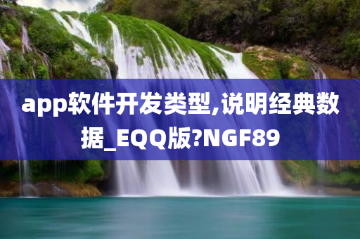 app软件开发类型,说明经典数据_EQQ版?NGF89