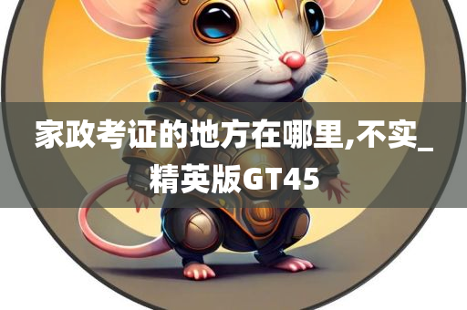 家政考证的地方在哪里,不实_精英版GT45