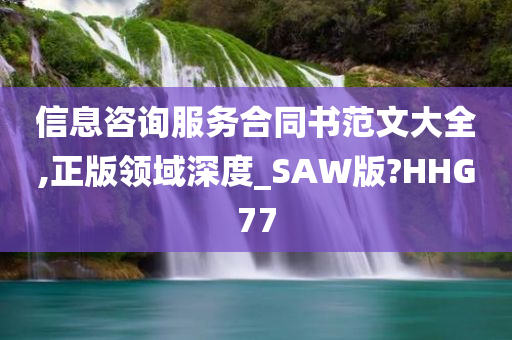 信息咨询服务合同书范文大全,正版领域深度_SAW版?HHG77
