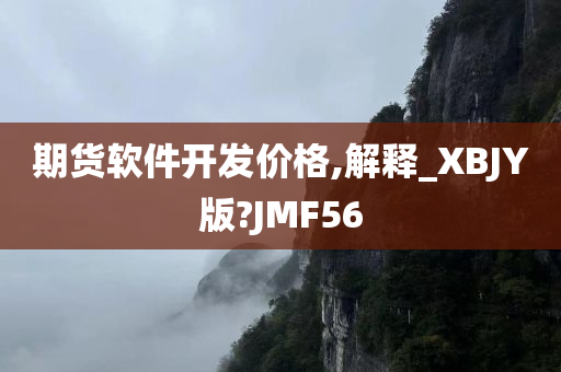 定制开发 第2页
