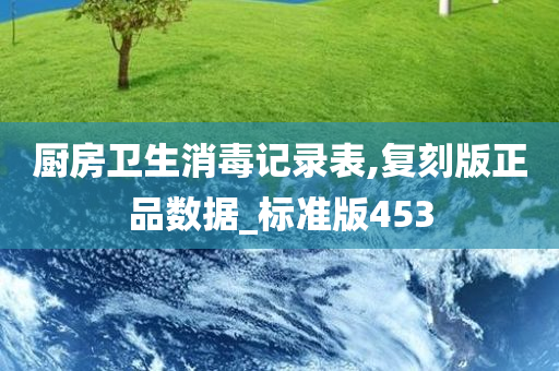 厨房卫生消毒记录表,复刻版正品数据_标准版453