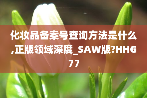 化妆品备案号查询方法是什么,正版领域深度_SAW版?HHG77