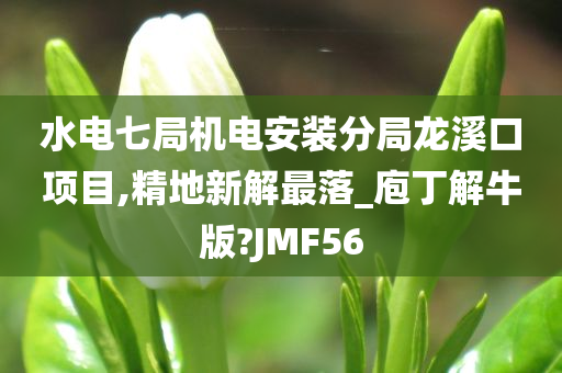 水电七局机电安装分局龙溪口项目,精地新解最落_庖丁解牛版?JMF56