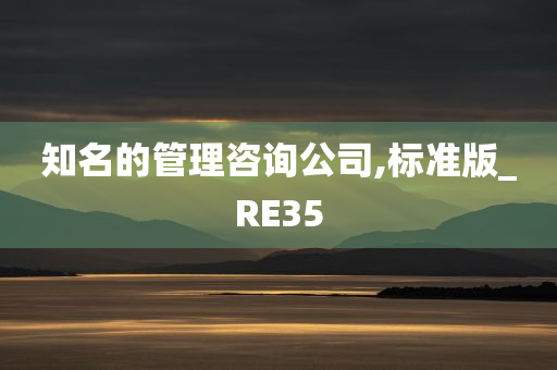 知名的管理咨询公司,标准版_RE35