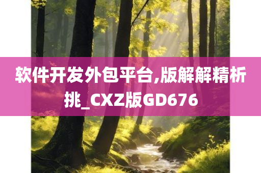 软件开发外包平台,版解解精析挑_CXZ版GD676